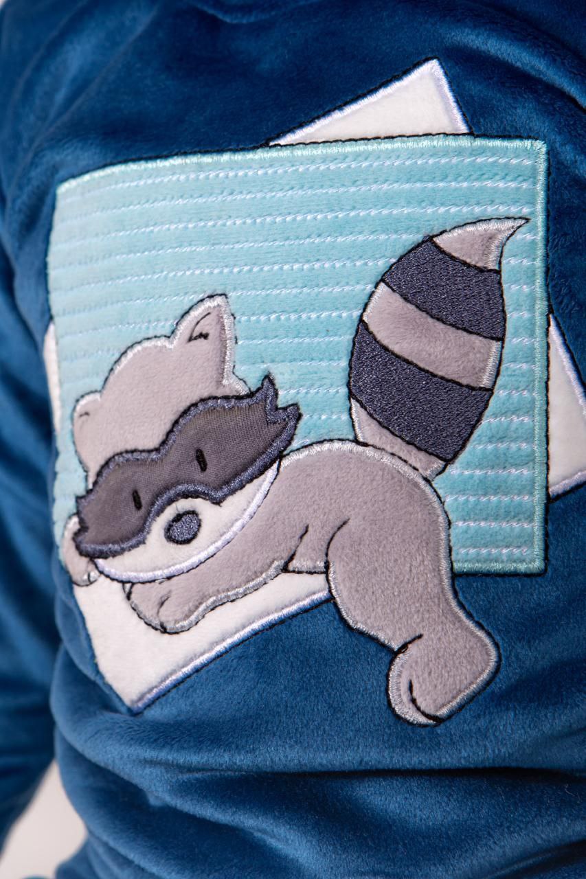 Boys' Pjs - Blue Raccoon - 10839