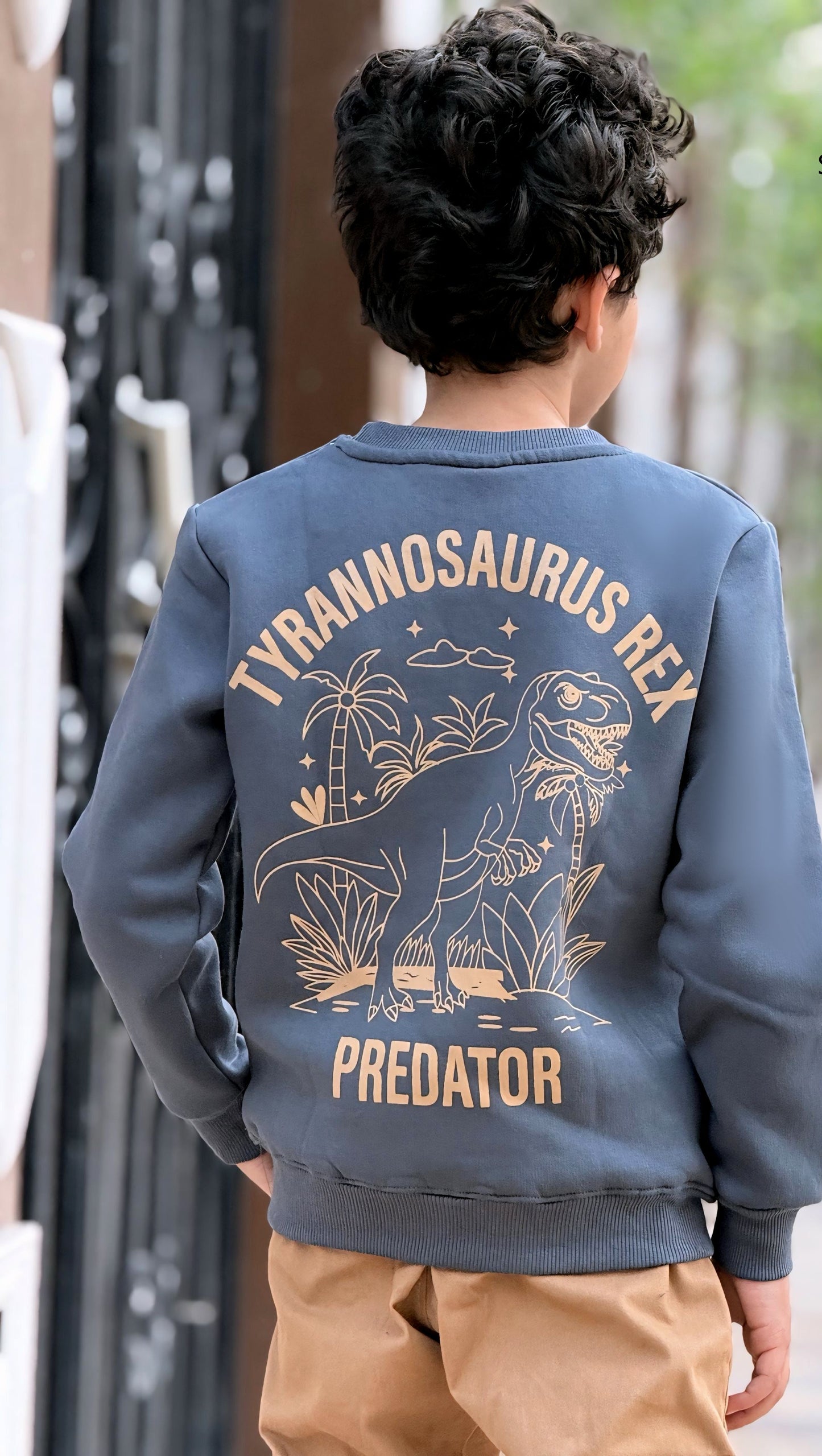 Boys’ Sweatshirt & Pants Winter Set – Dino Roar Power  – 10848