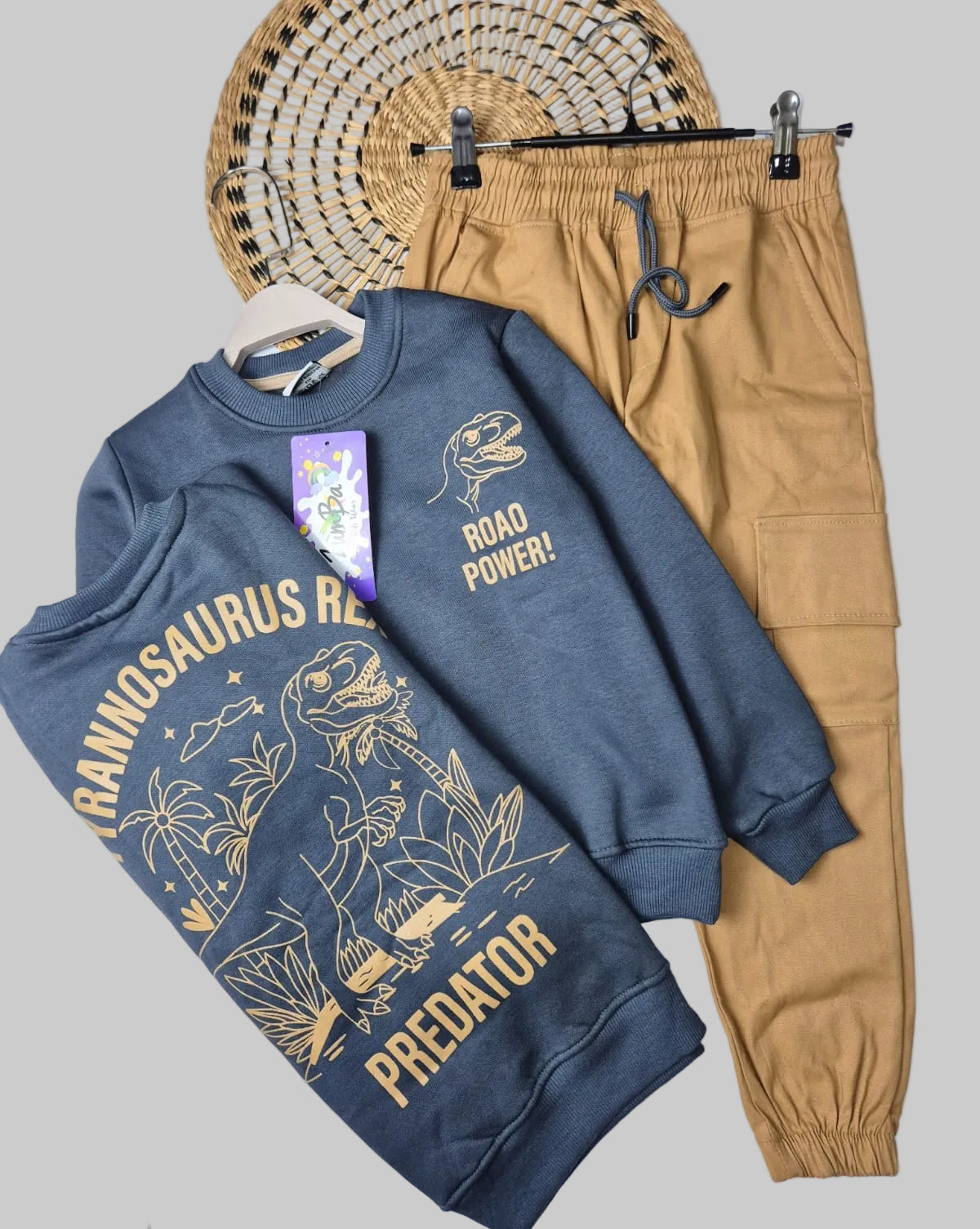 Boys’ Sweatshirt & Pants Winter Set – Dino Roar Power  – 10848