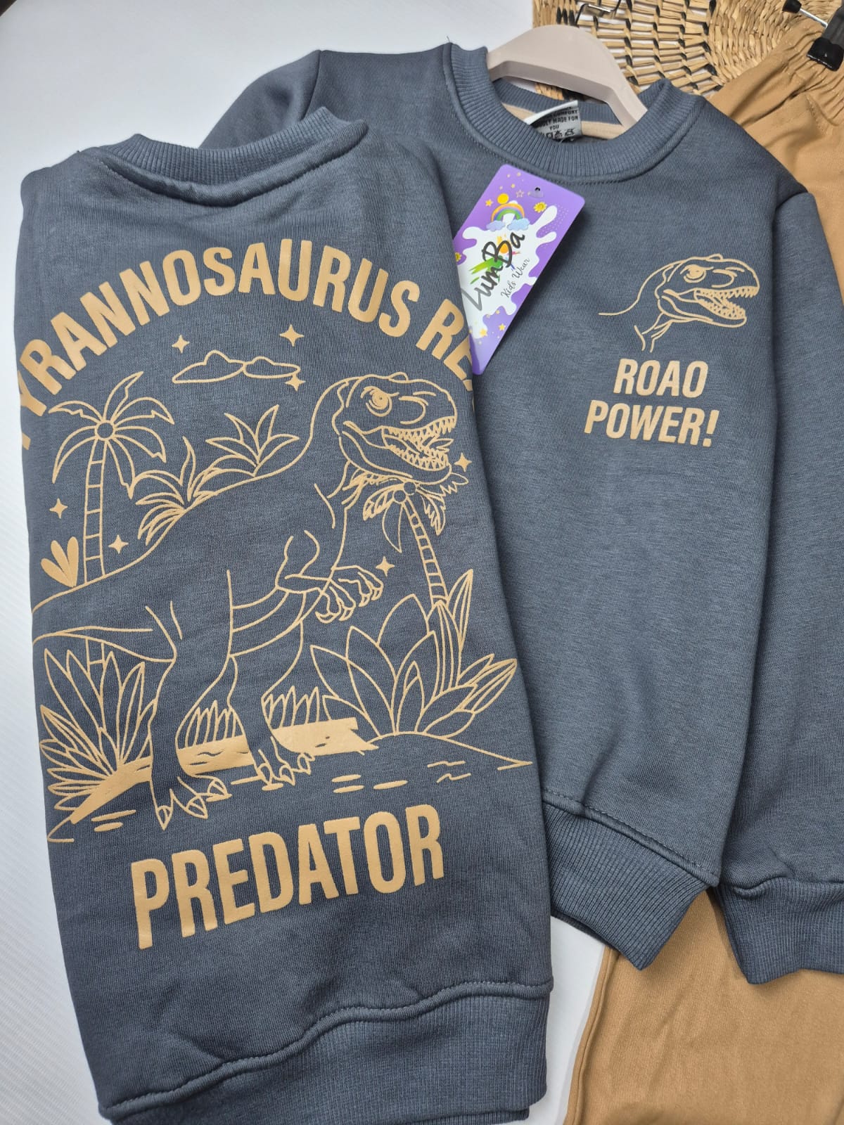 Boys’ Sweatshirt & Pants Winter Set – Dino Roar Power  – 10848