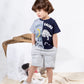 Boys’ Summer Set – Gray Dino – 10860