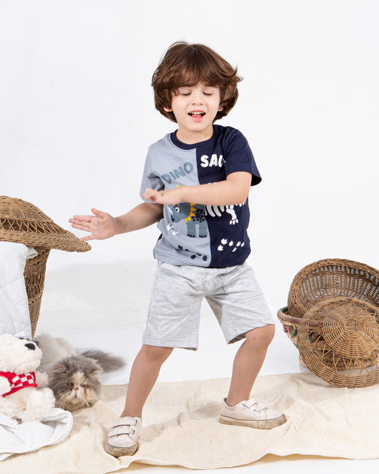 Boys’ Summer Set – Gray Dino – 10860
